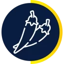 icochileazu