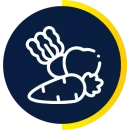 icoverduraazu